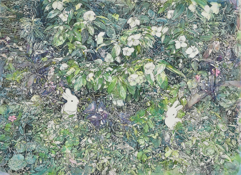 夏至のころの庭