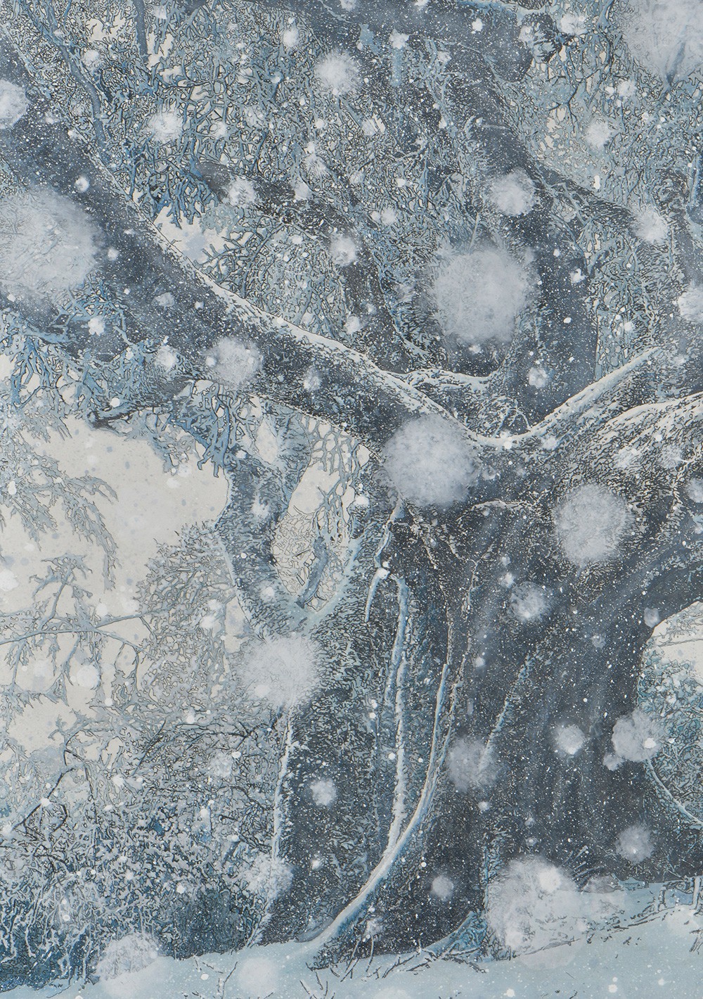 奥羽山脈焼石岳の初雪の森