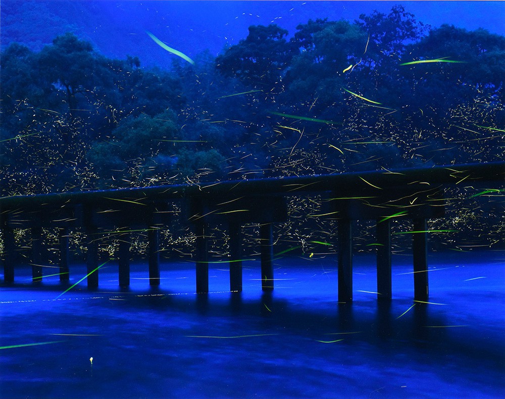 蛍舞う沈下橋