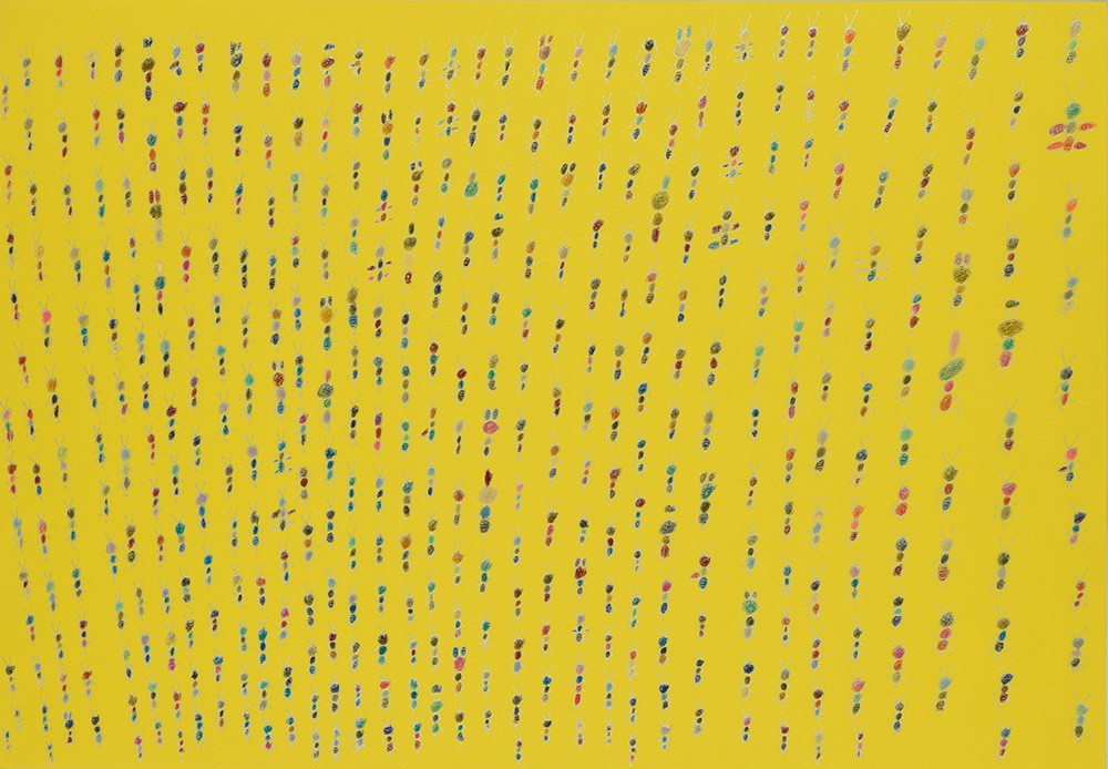 ジャングルにいる虫たち